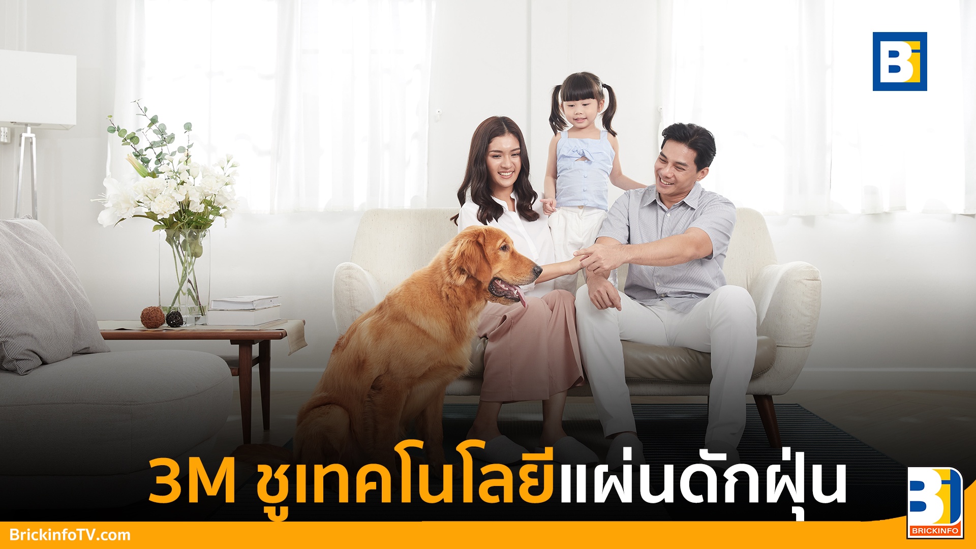 แผ่นดักฝุ่น