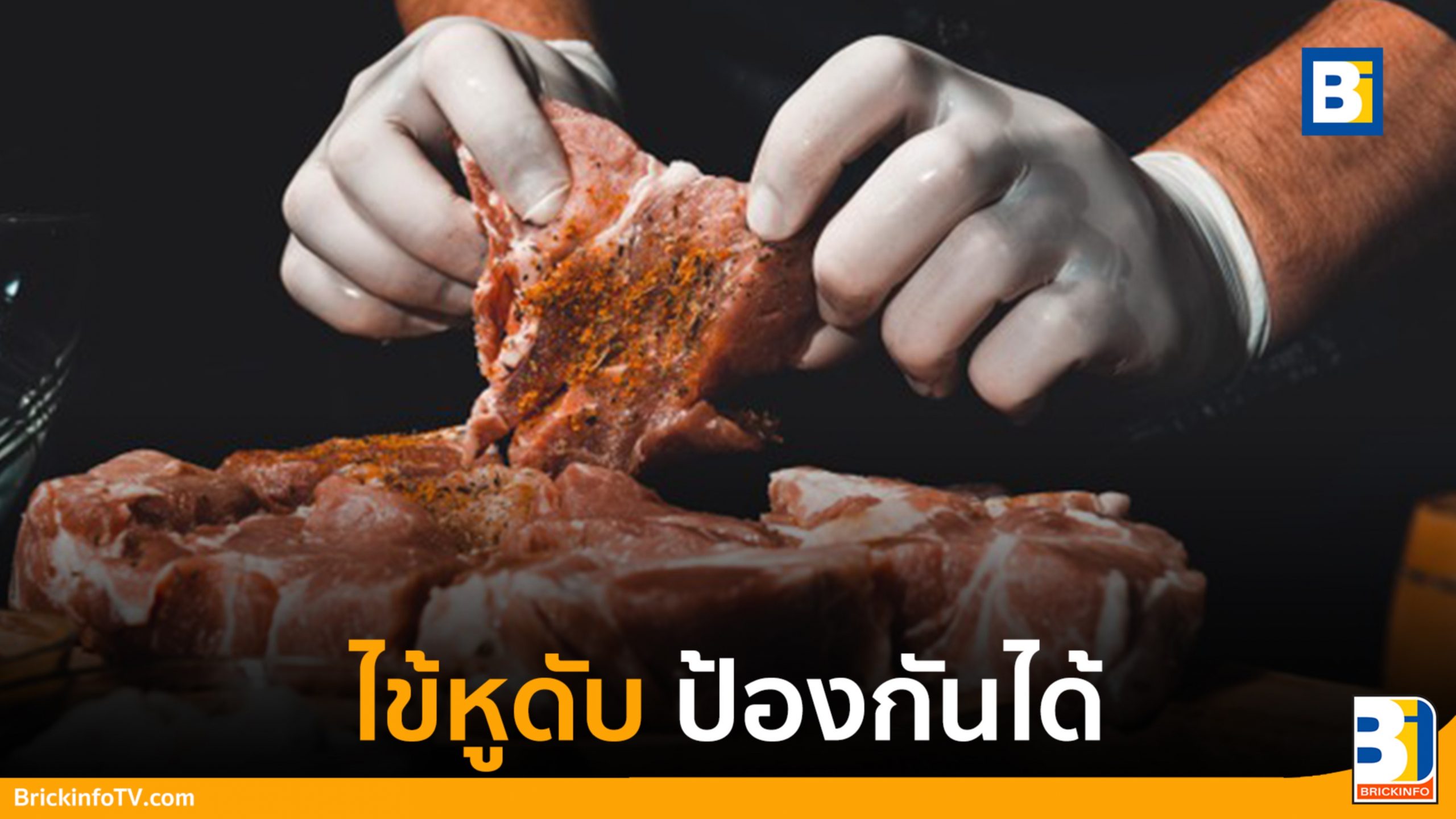 ไข้หูดับ