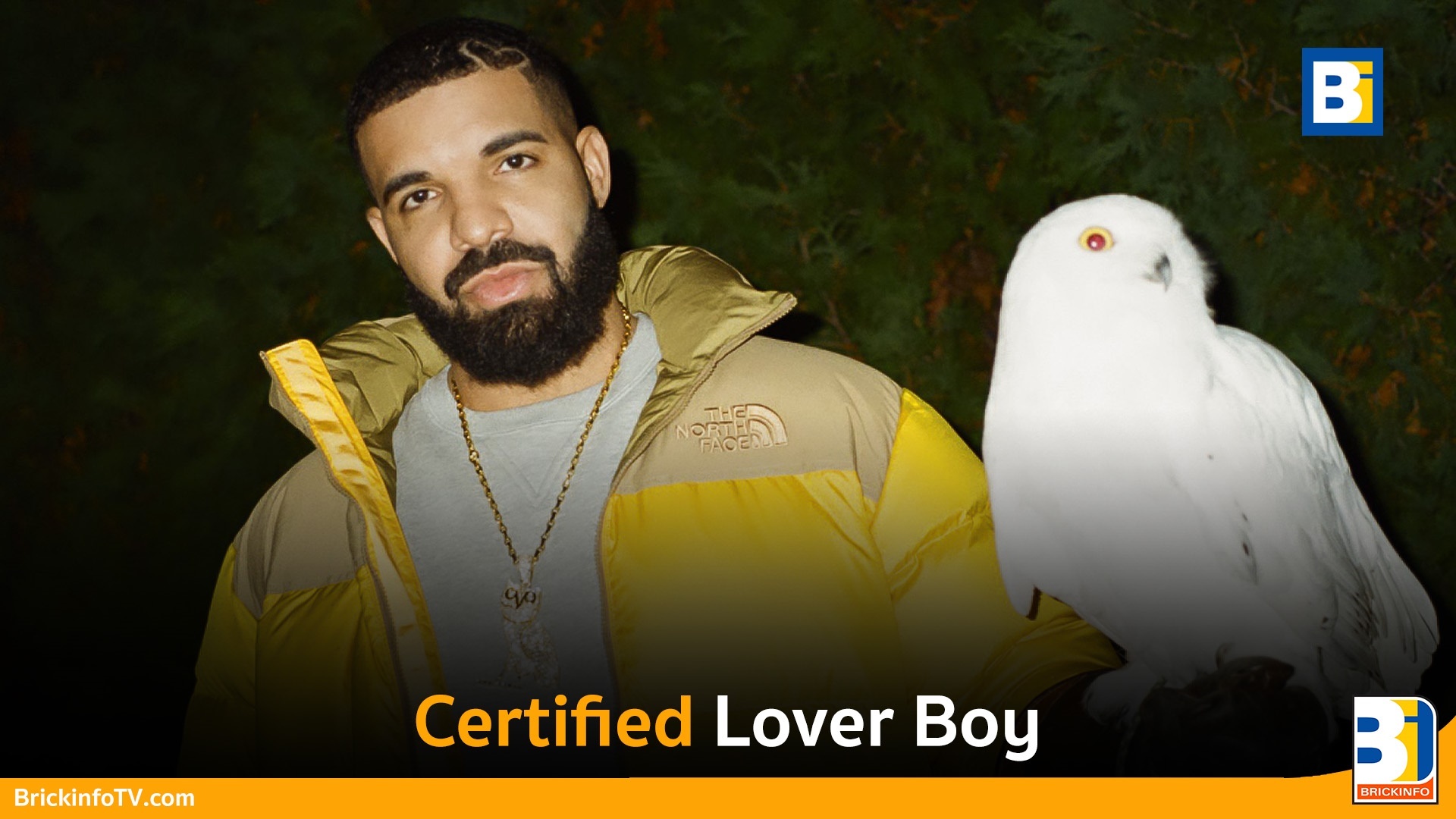 Certified Lover Boy