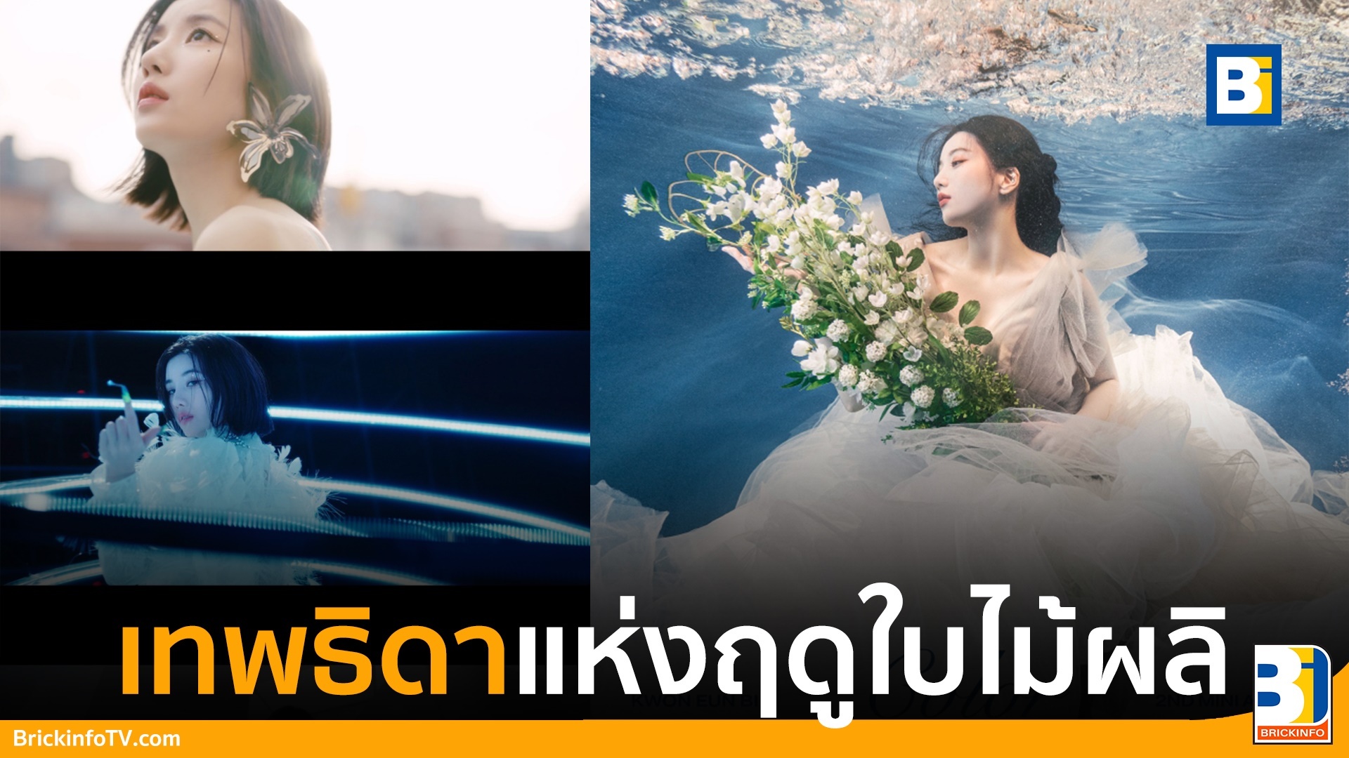 ควอนอึนบี KWON EUN BI