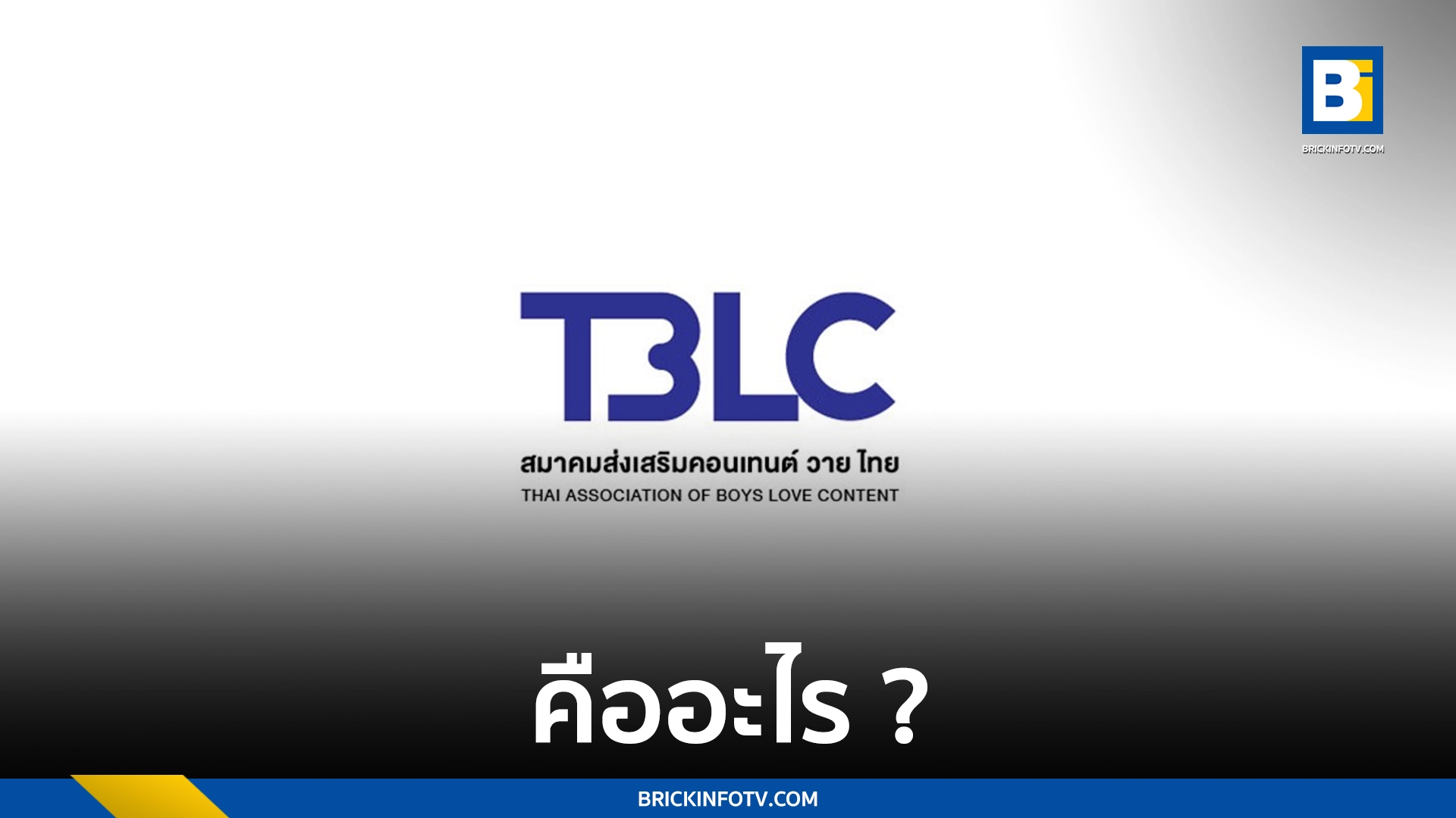 สมาคมส่งเสริมคอนเทนต์ วาย ไทย