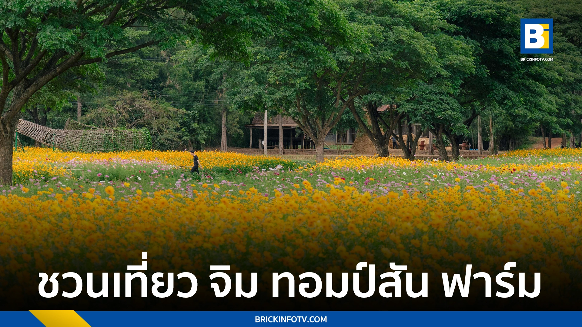 เที่ยว จิม ทอมป์สัน ฟาร์ม