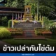 โรงเรียนราชประนุเคราะห์ 21
