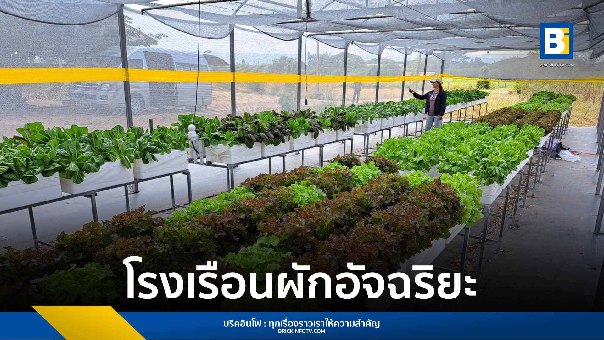 โรงเรือนผักอัจฉริยะ