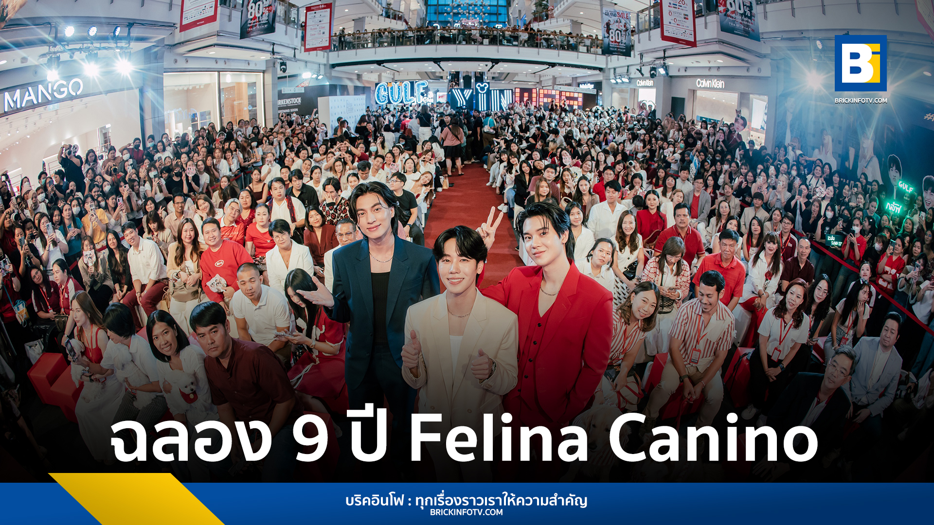 Felina Canino