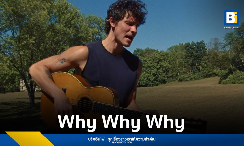 Why Why Why - Shawn Mendes