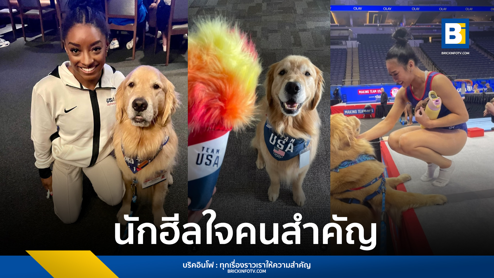 สุนัข โอลิมปิก