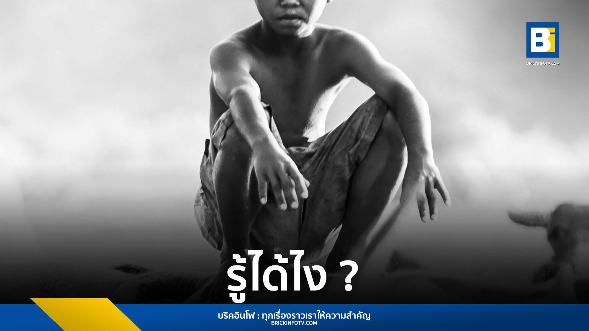 สื่อลามกอนาจารเด็ก