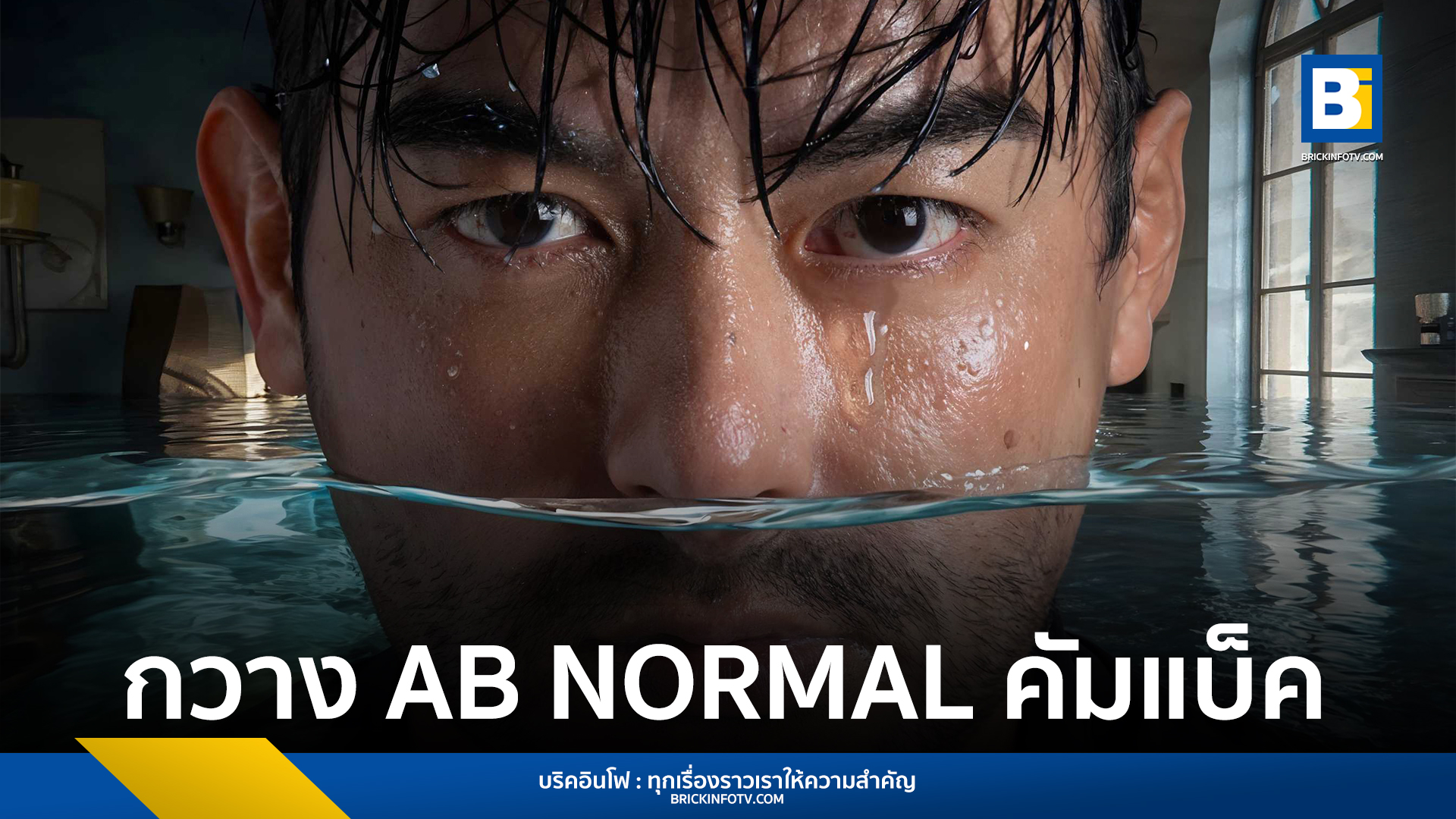 กวาง AB NORMAL