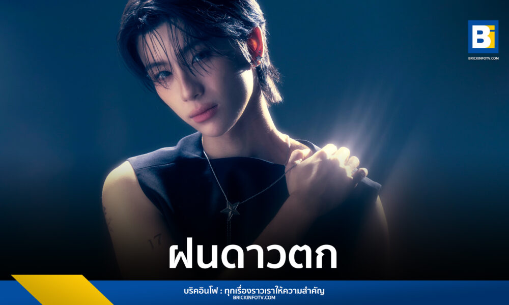 ฝนดาวตก