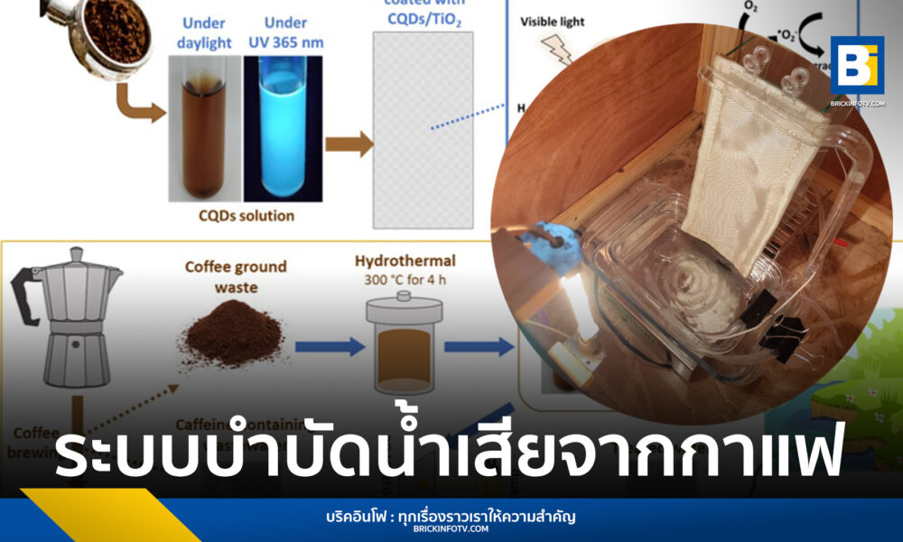 ระบบบำบัดน้ำเสียจากกาแฟ