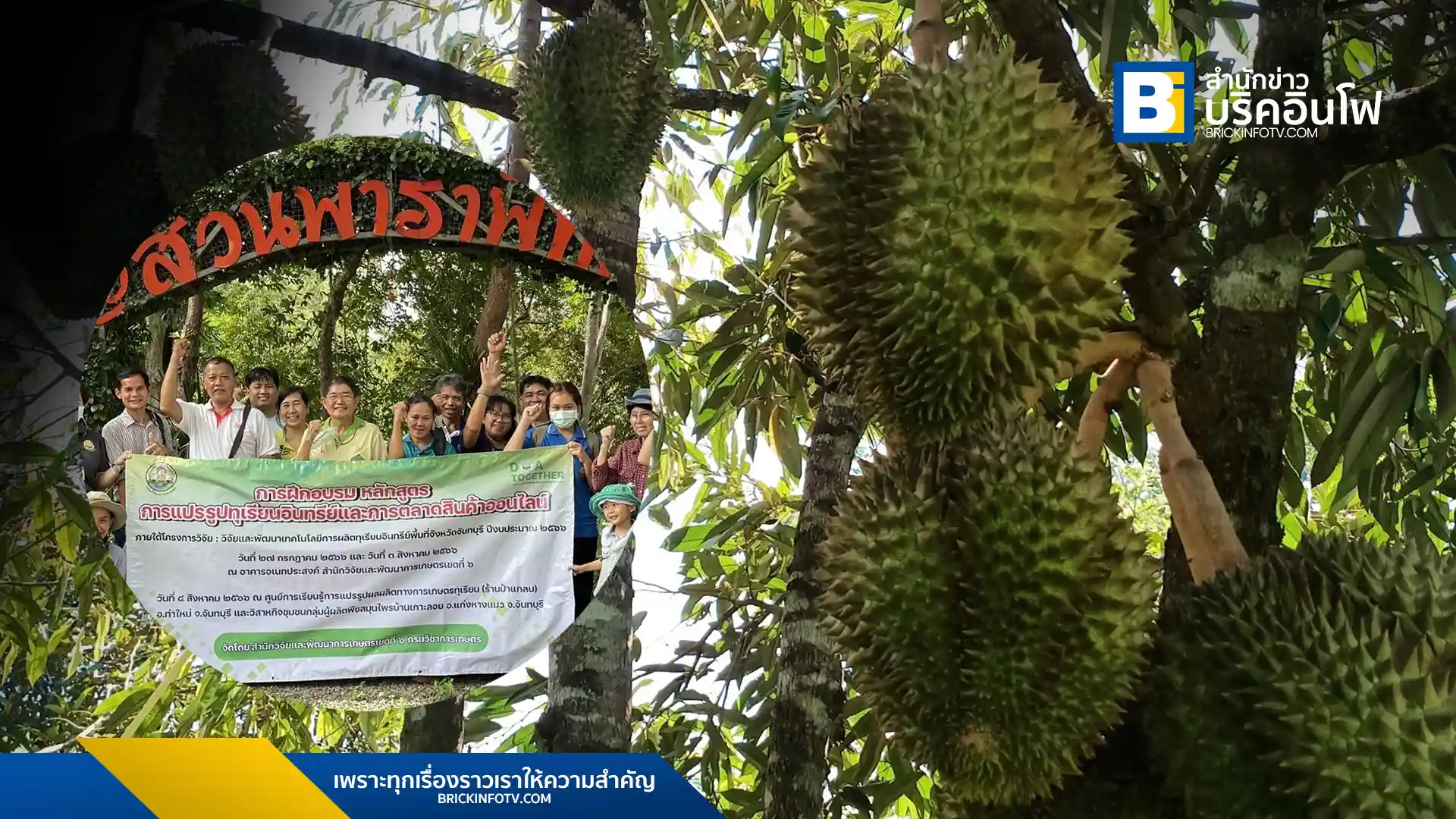 organic-durian