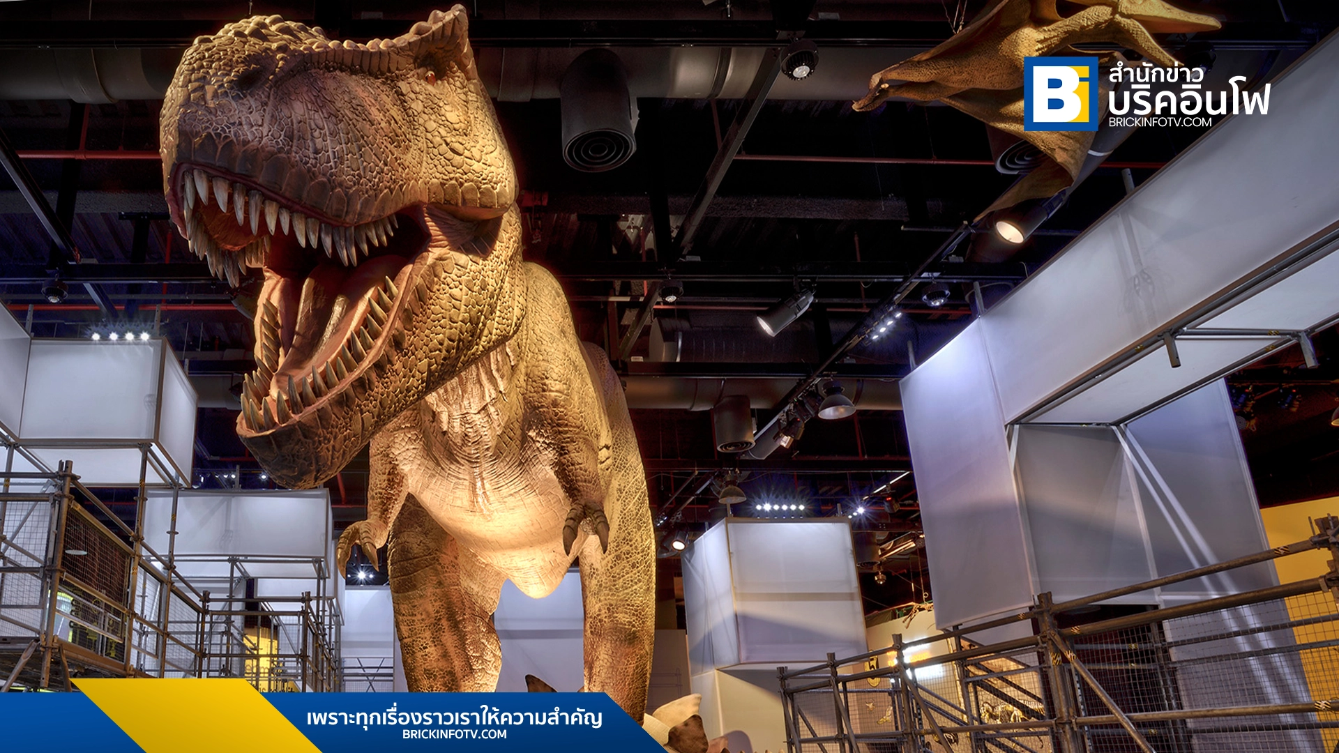 DINOLAB BANGKOK 2025