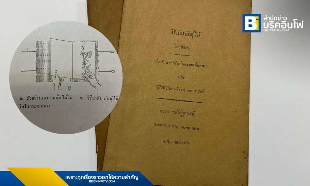 กรมวิชาการเกษตร เปิดให้เข้าชม “หนังสือเก็บพันธุ์ตัวอย่างพรรณไม้เล่มแรกของไทย” ณ พิพิธภัณฑ์พืชสิรินธร เรียนรู้ประวัติศาสตร์พฤกษศาสตร์ของไทย และชมตัวอย่างพรรณไม้แห้งกว่า 40,000 หมายเลข