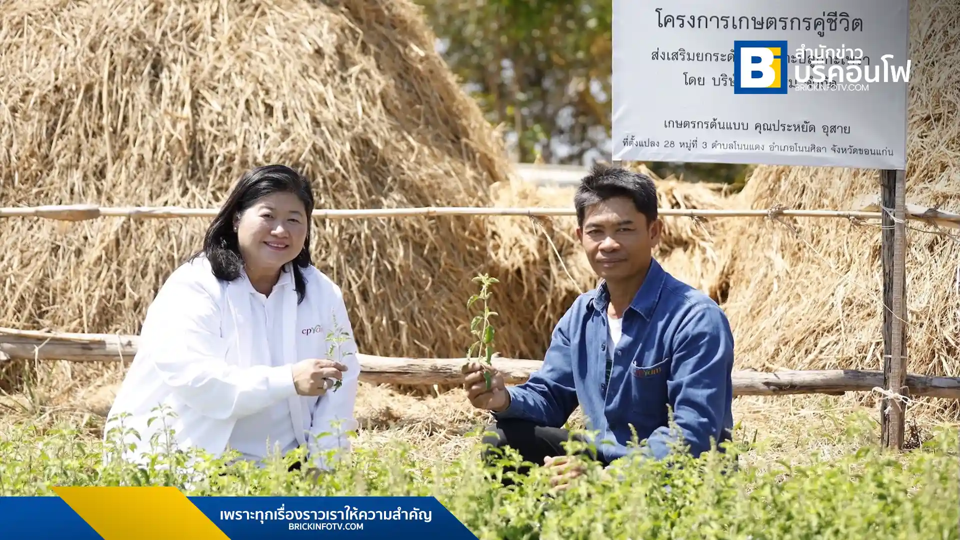 ซีพีแรมเดินหน้าโครงการเกษตรกรคู่ชีวิตปีที่ 18 ส่งเสริมเกษตรกรปลูกกะเพราด้วยมาตรฐาน GAP สร้างรายได้และความมั่นคงทางอาหาร