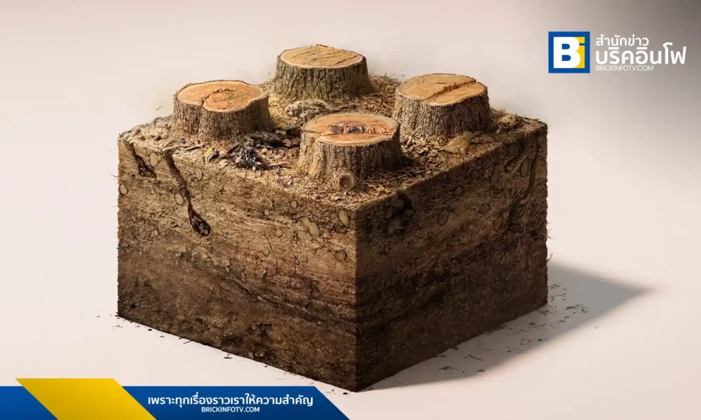 กลุ่มบิ๊กทรีส์ (Big Trees Project) จัดแคมเปญ "Heritage" ชวนคนไทยตระหนักถึงความสำคัญของป่าไม้และร่วมสร้างโลกที่ยั่งยืนสำหรับเด็กรุ่นหลัง ในวันป่าไม้โลก 21 มีนาคม