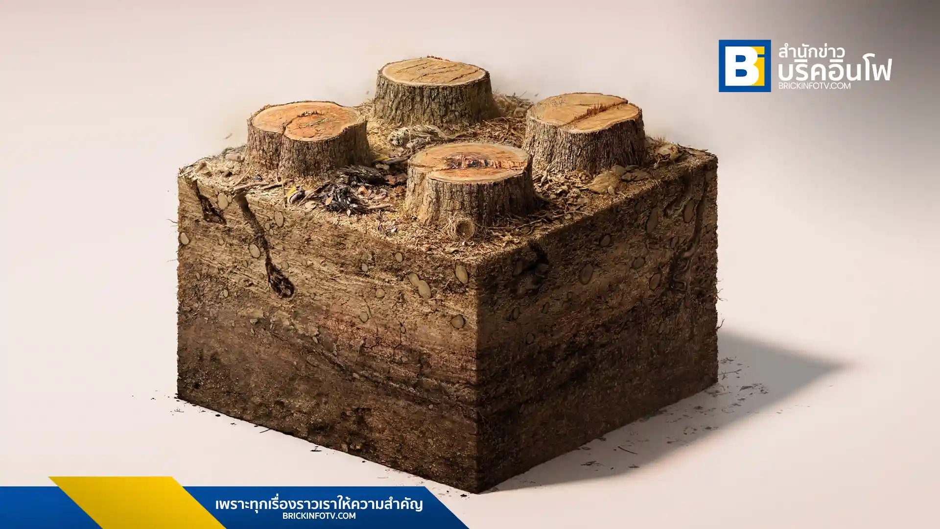 กลุ่มบิ๊กทรีส์ (Big Trees Project) จัดแคมเปญ "Heritage" ชวนคนไทยตระหนักถึงความสำคัญของป่าไม้และร่วมสร้างโลกที่ยั่งยืนสำหรับเด็กรุ่นหลัง ในวันป่าไม้โลก 21 มีนาคม