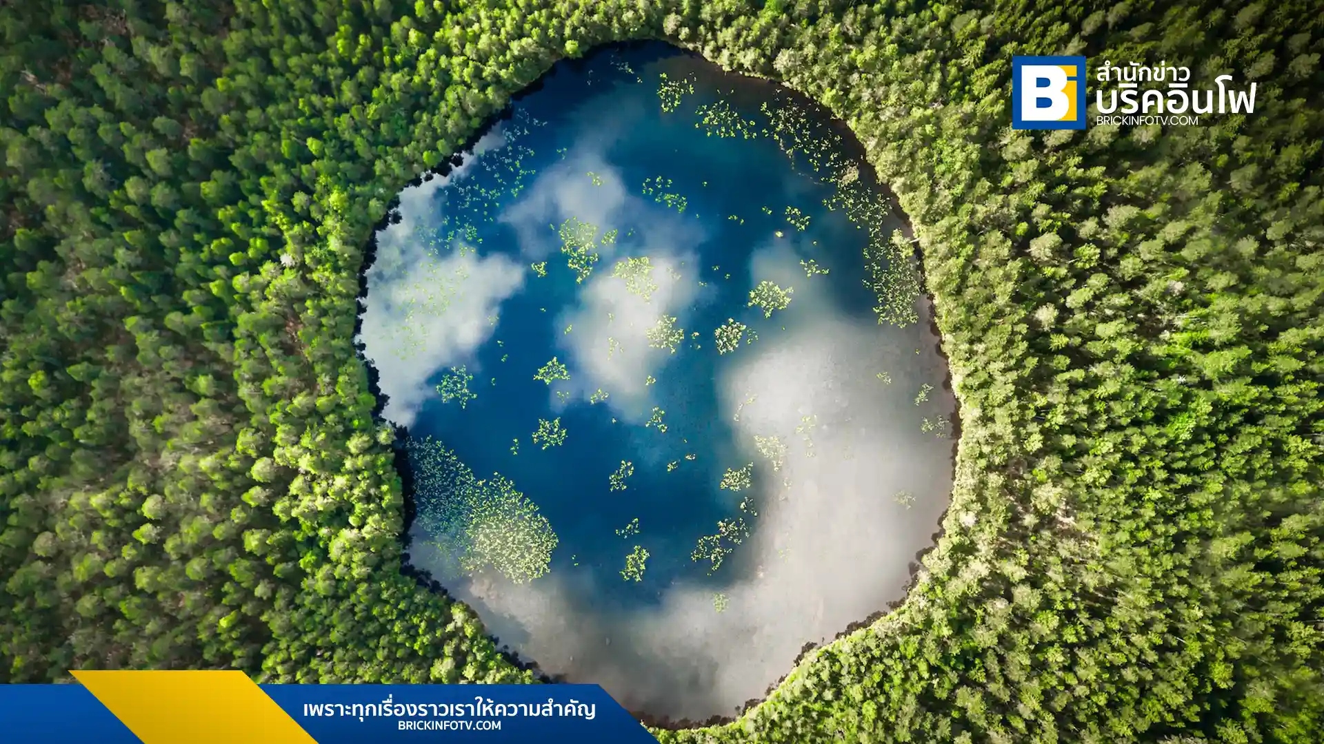 รายงาน Circularity Gap Report 2025 เผยอัตราการใช้ทรัพยากรหมุนเวียนทั่วโลกลดลงเหลือ 6.9% แม้ความพยายามรีไซเคิลเพิ่มขึ้น ชี้รีไซเคิลอย่างเดียวไม่พอ ต้องลดการใช้และปรับสู่เศรษฐกิจหมุนเวียน