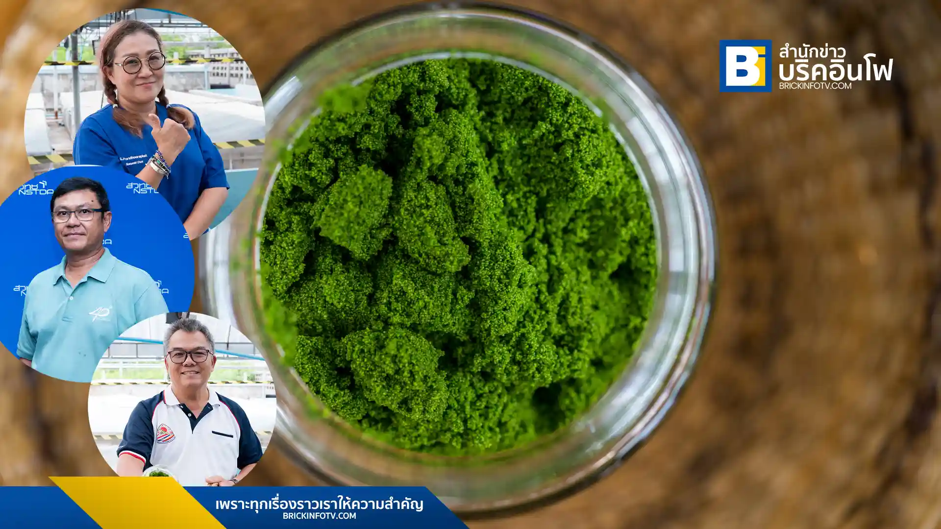 สวทช. เปิดตัวฟาร์มต้นแบบ "ไข่ผำพรีเมียม" ด้วยเทคโนโลยี IoT และองค์ความรู้โรงงานผลิตพืชอัจฉริยะ พร้อมยกระดับมาตรฐานการผลิต ตอบโจทย์อุตสาหกรรมอาหารแห่งอนาคต