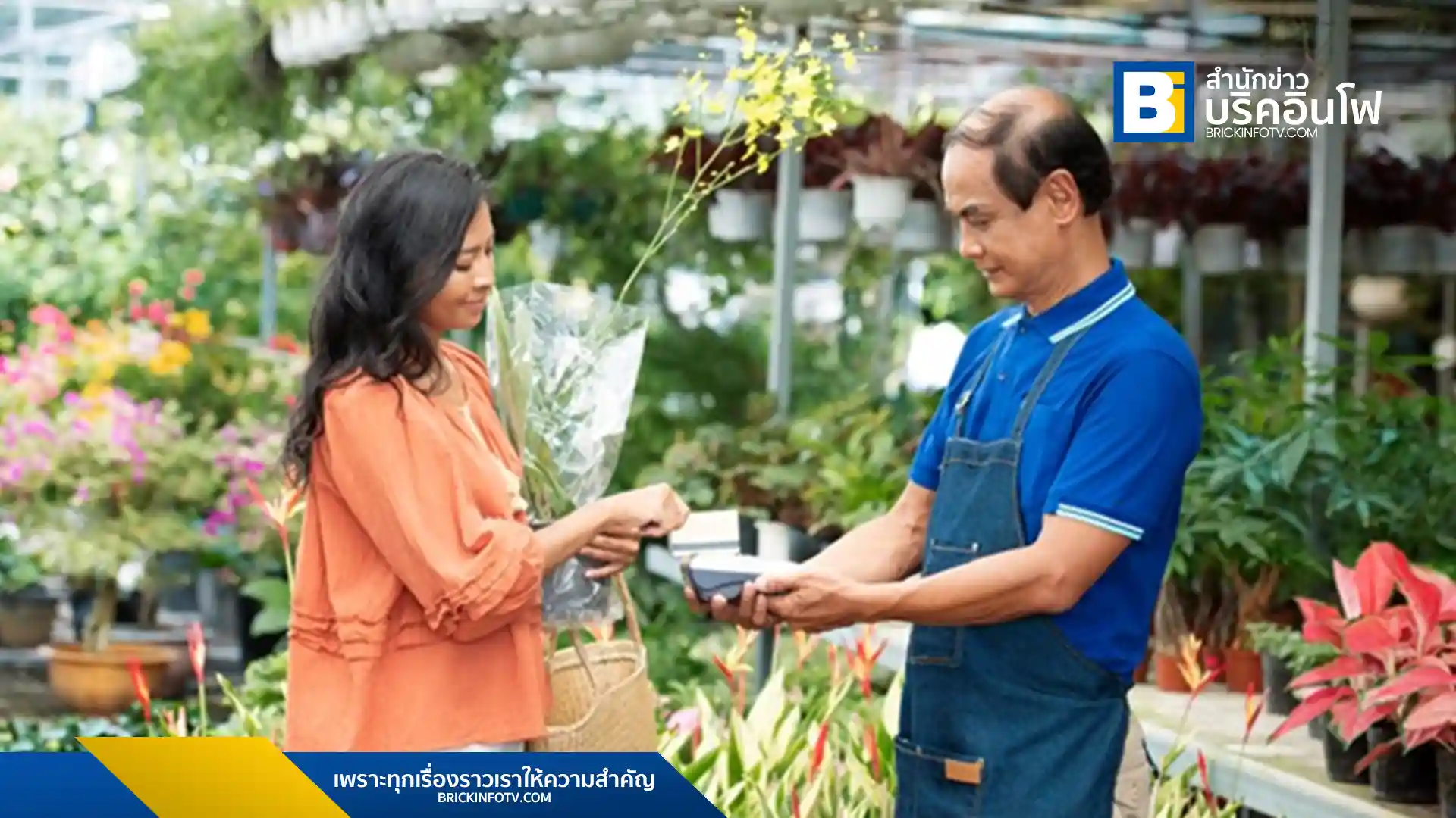 ค้นพบ 5 สิ่งสำคัญที่ควรซื้อจากร้านขายดินปลูกต้นไม้ เพื่อให้การปลูกพืชของคุณประสบความสำเร็จ ตั้งแต่ดิน กระถาง ปุ๋ย ไปจนถึงอุปกรณ์ดูแลและเมล็ดพันธุ์