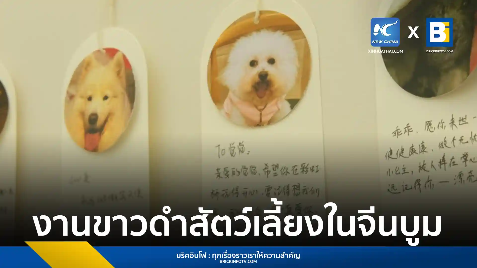 ตลาดธุรกิจงานศพสัตว์เลี้ยงในจีนขยายตัวอย่างรวดเร็ว สะท้อนการเปลี่ยนแปลงทัศนคติที่ชาวจีนมีต่อสัตว์เลี้ยงซึ่งกลายเป็นส่วนหนึ่งของครอบครัว พร้อมการเติบโตทางเศรษฐกิจและมาตรฐานที่เพิ่มขึ้นในอุตสาหกรรม