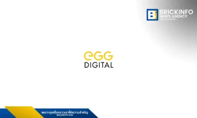 บริษัท เอ้ก ดิจิทัล จำกัด EGG Digital