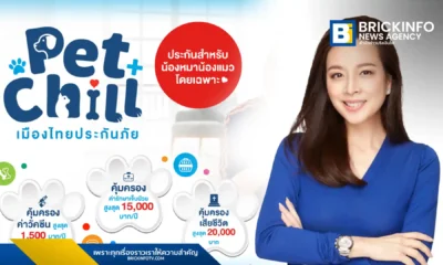 เมืองไทยประกันภัย (MTI) เปิดตัวผลิตภัณฑ์ใหม่ “ประกันสัตว์เลี้ยง Pet Chill” ตอบรับเทรนด์ Pet Humanization คุ้มครองทั้งสุนัขและแมว ครอบคลุมค่ารักษาพยาบาลจากอาการเจ็บป่วยและอุบัติเหตุ รวมถึงค่าฉีดวัคซีน เบี้ยประกันเริ่มต้น 629 บาทต่อปี