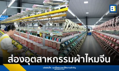 การเปลี่ยนผ่านของอุตสาหกรรมไหมในอำเภอซินเฉิง เมืองไลบิน มณฑลกว่างซี สู่เทคโนโลยีอัจฉริยะ (Intelligent Technology) ตั้งแต่สวนหม่อนถึงโรงงาน เพิ่มรายได้เกษตรกร และมูลค่าการส่งออกไหมดิบเป็นสองเท่า ดันมูลค่ารวมของอุตสาหกรรมไหมกว่างซีทะลุ 1 พันล้านหยวนในปี 2024