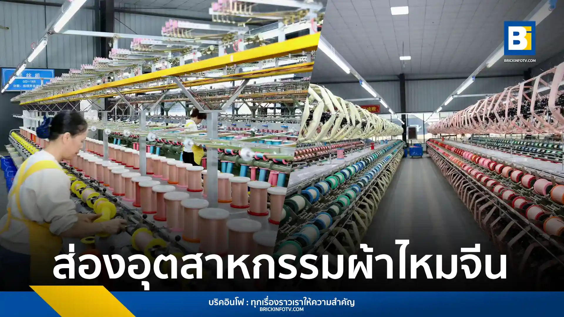 การเปลี่ยนผ่านของอุตสาหกรรมไหมในอำเภอซินเฉิง เมืองไลบิน มณฑลกว่างซี สู่เทคโนโลยีอัจฉริยะ (Intelligent Technology) ตั้งแต่สวนหม่อนถึงโรงงาน เพิ่มรายได้เกษตรกร และมูลค่าการส่งออกไหมดิบเป็นสองเท่า ดันมูลค่ารวมของอุตสาหกรรมไหมกว่างซีทะลุ 1 พันล้านหยวนในปี 2024