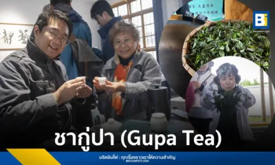 คณะสื่อต่างชาติเข้าร่วมกิจกรรม Foreign Media Tour to Laibin 2025 เยี่ยมชมการพลิกโฉม ชากู่ปา (Gupa Tea) นับพันปีในตำบลเหมียวหวง กว่างซี (Guangxi) จากมรดกทางวัฒนธรรมสู่ผลิตภัณฑ์มูลค่าสูงกว่า 6 ล้านหยวนต่อปี พร้อมชื่นชมการพัฒนา ชาสกัดเย็น และ ชาลาเต้ ที่เป็นที่นิยมในหมู่เยาวชน