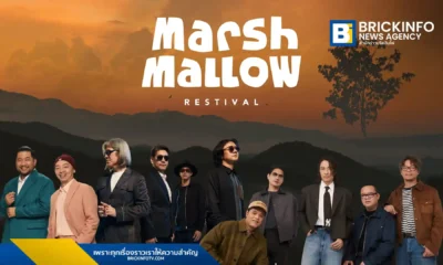 Meaning Maker, บริษัท มีนนิ่ง เมคเกอร์, Abonzo, อะบอนโซ, GreenWave, กรีนเวฟ, Marshmallow Restival, Abonzo Yama Mitsu, อะบอนโซ ยามะ มิตสึ, เชียงราย, P.O.P, Friday, ETC., Marshmallow Symphony Orchestra, TicketMelon, ทิคเก็ตเมล่อน