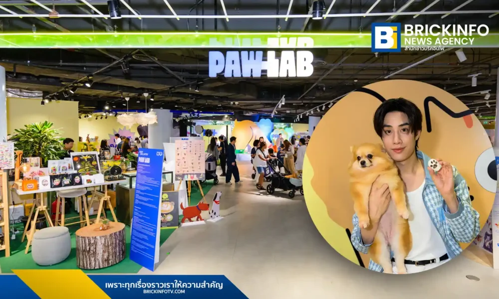 สยามดิสคัฟเวอรี่ (Siam Discovery) เปิดตัว PAW LAB พื้นที่สำหรับสัตว์เลี้ยงและเจ้าของที่ชั้น 1 รวมสินค้าแบรนด์ดังและกิจกรรมเวิร์กช็อป รับสัตว์เลี้ยงหนักไม่เกิน 20 กก.