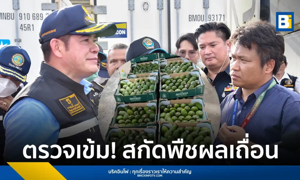 กรมวิชาการเกษตรยกระดับมาตรการคุมเข้มชายแดน สั่งด่านตรวจพืชตรวจสอบการนำเข้ามันสำปะหลังและอะโวคาโด 100% ทุกชิปเมนท์ สกัดสินค้าเกษตรผิดกฎหมาย ป้องกันศัตรูพืชระบาด