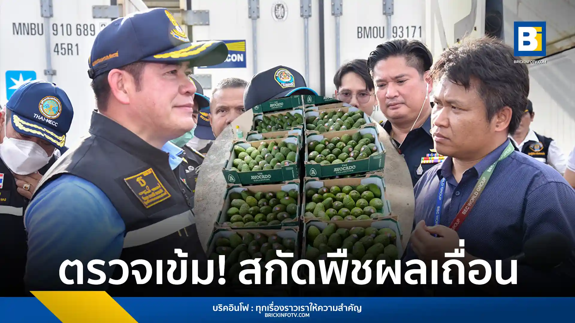 กรมวิชาการเกษตรยกระดับมาตรการคุมเข้มชายแดน สั่งด่านตรวจพืชตรวจสอบการนำเข้ามันสำปะหลังและอะโวคาโด 100% ทุกชิปเมนท์ สกัดสินค้าเกษตรผิดกฎหมาย ป้องกันศัตรูพืชระบาด