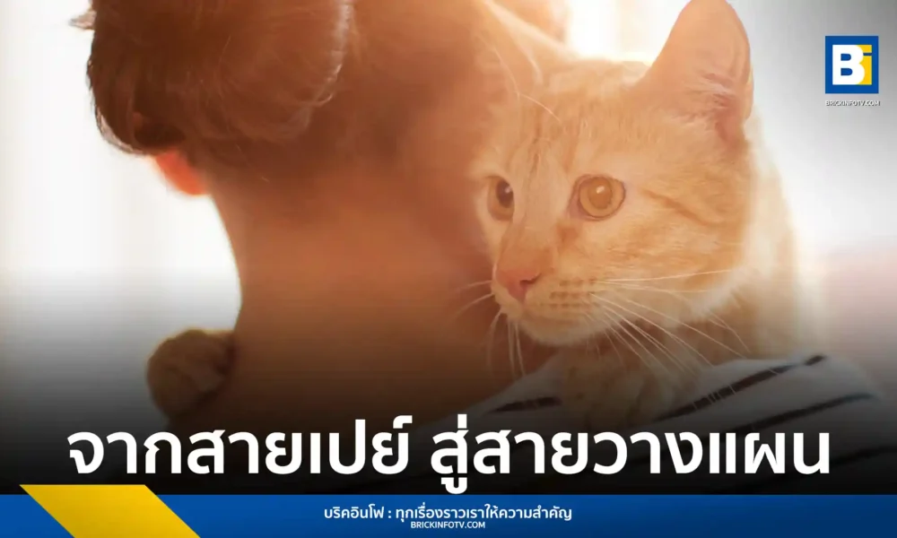 ตลาดสัตว์เลี้ยงไทยปี 2567 พุ่ง 7.4 หมื่นล้าน เคทีซีเผยพฤติกรรมเจ้าของเปลี่ยนจากสายเปย์สู่สายวางแผน เน้นดูแลสุขภาพเชิงป้องกันและบริหารค่าใช้จ่ายระยะยาว