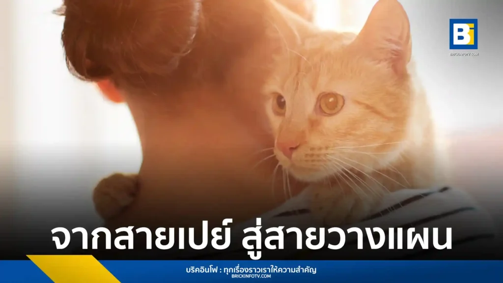 ตลาดสัตว์เลี้ยงไทยปี 2567 พุ่ง 7.4 หมื่นล้าน เคทีซีเผยพฤติกรรมเจ้าของเปลี่ยนจากสายเปย์สู่สายวางแผน เน้นดูแลสุขภาพเชิงป้องกันและบริหารค่าใช้จ่ายระยะยาว