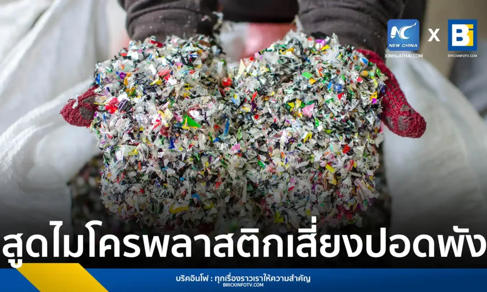 มหาวิทยาลัยเทคโนโลยีซิดนีย์เตือน อันตรายจากการสูดดมไมโครพลาสติกในอากาศ ก่อให้เกิดการอักเสบและสะสมในเนื้อเยื่อปอด เสี่ยงเป็นมะเร็งปอดและโรคหอบหืด