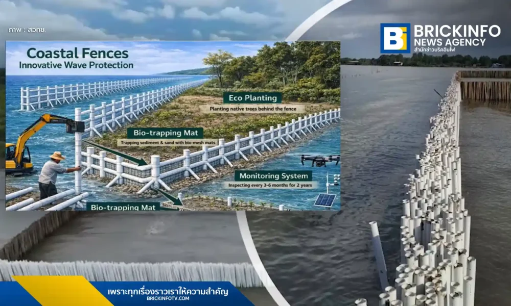 สวทช. และ กรมทรัพยากรทางทะเลและชายฝั่ง (ทช.) ลงนามความร่วมมือ 5 ปี นำเทคโนโลยีและนวัตกรรมขั้นสูงมาใช้บริหารจัดการทรัพยากรทางทะเล ฟื้นฟูป่าชายเลน และประเมินบลูคาร์บอน