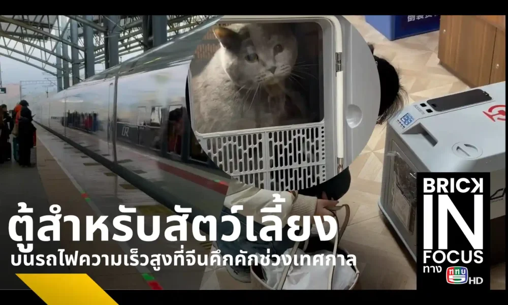 การรถไฟจีนขยายบริการขนส่งสัตว์เลี้ยงบนรถไฟความเร็วสูงครอบคลุม 110 สถานี 170 ขบวน รองรับคนรุ่นใหม่พาสัตว์เลี้ยงกลับภูมิลำเนาช่วงเทศกาล