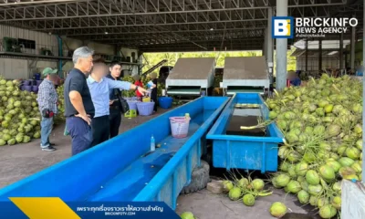 สำนักงาน กขค. ลงพื้นที่ราชบุรีตรวจสอบขบวนการฮั้วราคามะพร้าวน้ำหอม พบพิรุธกลุ่มทุนต่างชาตินัดหมายกำหนดราคารับซื้อและแบ่งโควต้าส่งออก เร่งรวบรวมหลักฐานฟันผิดกฎหมายแข่งขันทางการค้า