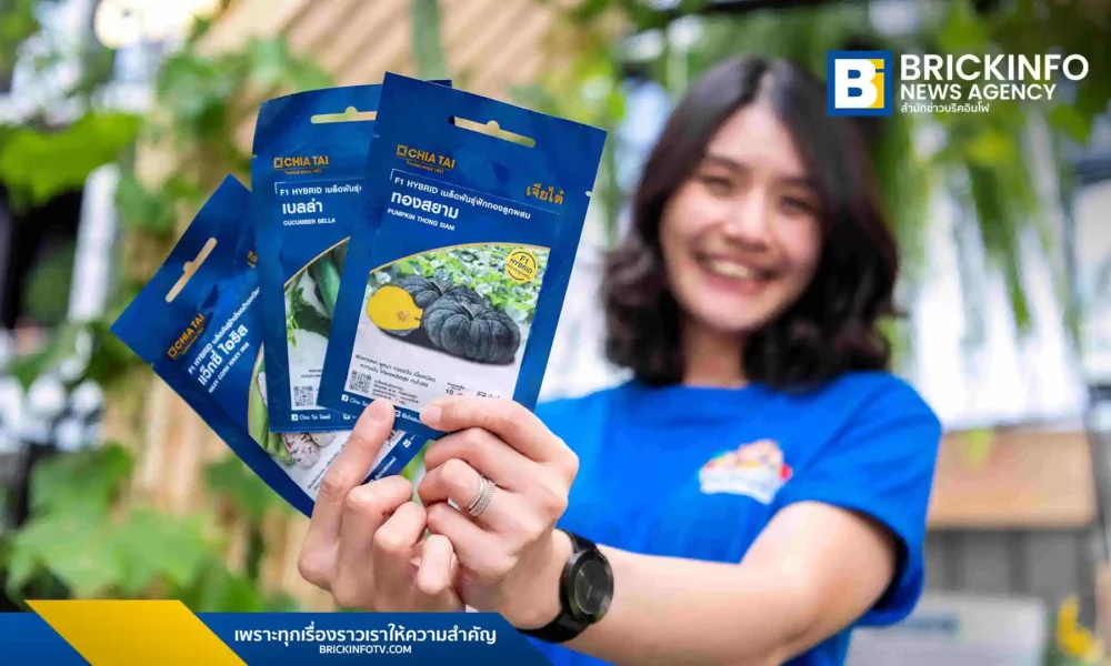 เจียไต๋ (Chia Tai) เปิดตัว ผักซองอีซี่ (Easy Pak) ชูจุดเด่นเมล็ดพันธุ์คุณภาพระดับมืออาชีพ อัตราการงอกสูงกว่า 80% ตอบโจทย์คนเมืองและเกษตรกร
