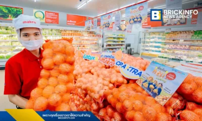 แม็คโคร-โลตัส (Makro-Lotus’s) ขานรับนโยบายกรมการค้าภายใน รับซื้อหอมหัวใหญ่จากเชียงใหม่ 6,000 ตัน กระจายทั่วประเทศ ช่วยพยุงราคาสินค้าเกษตรและดูแลรายได้เกษตรกรไทย