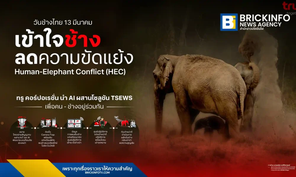 ทรู คอร์ปอเรชั่น (True) นำเทคโนโลยี AI ยกระดับระบบเตือนภัยล่วงหน้า TSEWS เฝ้าระวังช้างป่าในพื้นที่อุทยานแห่งชาติกุยบุรี และเขาอ่างฤาไน เพื่อการอยู่ร่วมกันอย่างยั่งยืน