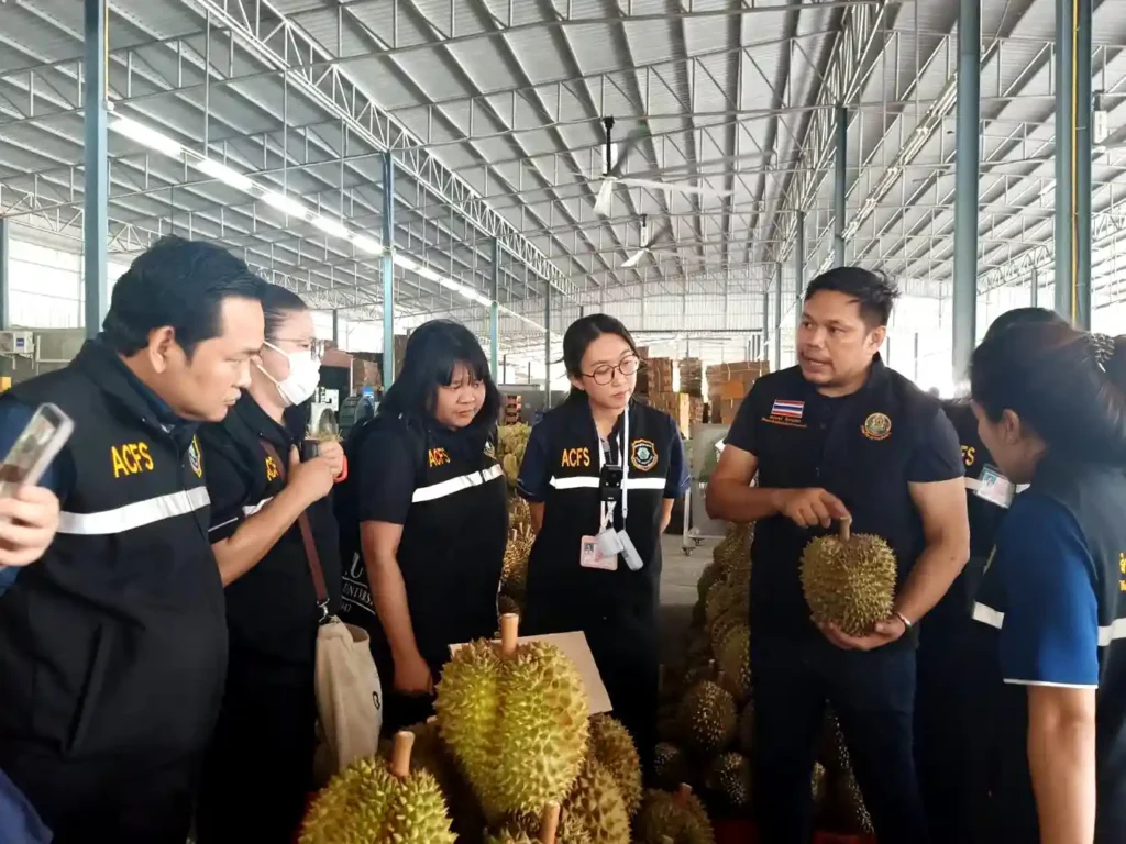 กรมวิชาการเกษตร ลงพื้นที่จันทบุรีคุมเข้มคุณภาพทุเรียนภาคตะวันออก ดีเดย์เก็บเกี่ยวทุเรียนหมอนทองและก้านยาว 20 เมษายน 2569 ย้ำมาตรการ 4 ไม่ ป้องกันทุเรียนอ่อนออกสู่ตลาด