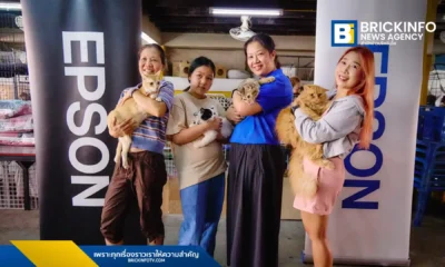 เอปสัน ประเทศไทย (Epson Thailand) สรุปภาพรวมแคมเปญ วิถีไทยไร้พลาสติก จัดกิจกรรม Stray Away From Plastic ณ วัดคงคา นนทบุรี รณรงค์ลดพลาสติกพร้อมดูแลแมวจรกว่า 100 ตัว