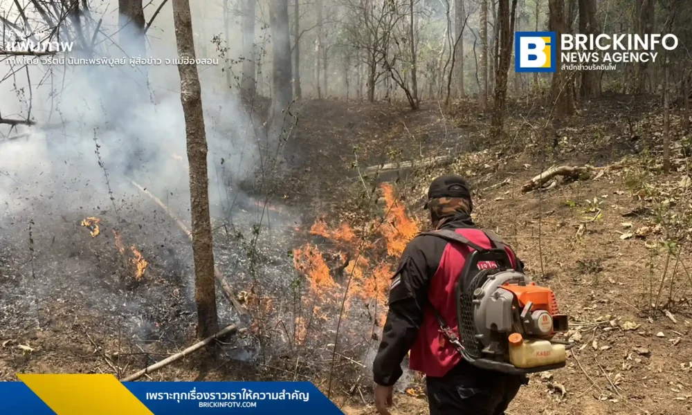 690416 วิรัตน์ แม่ฮ่องสอน ผู้ว่าฯ แม่ฮ่องสอน ขอบคุณเหยี่ยวไฟจากหลายจังหวัดช่วยให้ไฟเบาบางลง ผู้ว่าราชการจังหวัดแม่ฮ่องสอน พบปะและให้โอวาท กองกำลังพลเหยี่ยวไฟ ที่ปฏิบัติภารกิจดับไฟป่าในพื้นที่จังหวัดแม่ฮ่องสอน จนภารกิจสำเร็จลุล่วงได้ดี เช้าวันที่ 16 เมษายน 2569 ที่ บริเวณหน้าองค์การบริหารส่วนจังหวัดแม่ฮ่องสอน อำเภอเมือง จังหวัดแม่ฮ่องสอน นายวิบูรณ์ แววบัณฑิต ผู้ว่าราชการจังหวัดแม่ฮ่องสอน พบปะและให้โอวาท กองกำลังพลเหยี่ยวไฟ ที่ปฏิบัติภารกิจดับไฟป่าในพื้นที่จังหวัดแม่ฮ่องสอน จนภารกิจสำเร็จลุล่วงได้ดี โดยมี ผู้อำนวยการสำนักงานทรัพยากรธรรมชาติและสิ่งแวดล้อมจังหวัดแม่ฮ่องสอน และหน่วยงานที่เกี่ยวข้องร่วมพบปะในครั้งนี้ ในโอกาสนี้ ผู้ว่าราชการจังหวัดแม่ฮ่องสอน ได้กล่าวแสดงความขอบคุณ พร้อมให้โอวาทแก่กำลังพลเหยี่ยวไฟ พร้อมชื่นชมในความเสียสละ ความทุ่มเท และความมุ่งมั่นอย่างเต็มความสามารถ ในการปฏิบัติหน้าที่เพื่อช่วยเหลือสนับสนุนภารกิจดับไฟป่า เพื่อเป็นขวัญและกำลังใจในการปฏิบัติหน้าที่ ซึ่งเป็นภารกิจสำคัญในการปกป้องทรัพยากรธรรมชาติและดูแลความปลอดภัยของประชาชนในพื้นที่อย่างต่อเนื่อง สำหรับ กำลังพลเหยี่ยวไฟ จำนวน 40 นาย ได้รับมอบหมายให้สนับสนุนภารกิจควบคุมและดับไฟป่าในพื้นที่ 17 จังหวัดภาคเหนือ ซึ่งขณะนี้ได้ปฏิบัติภารกิจในพื้นที่จังหวัดแม่ฮ่องสอนเสร็จสิ้นเป็นที่เรียบร้อยแล้ว จากนั้นคณะจะเดินทางออกจากศูนย์ปฏิบัติการจังหวัดแม่ฮ่องสอน (ศปก.มส.) ไปยังฐานปฏิบัติการชั่วคราวในอำเภอแม่วาง จังหวัดเชียงใหม่ เพื่อรับมอบหมายภารกิจและปฏิบัติหน้าที่ในครั้งต่อไป ///////////////// วิรัตน์ นันทะพรพิบูลย์ จ.แม่ฮ่องสอน /