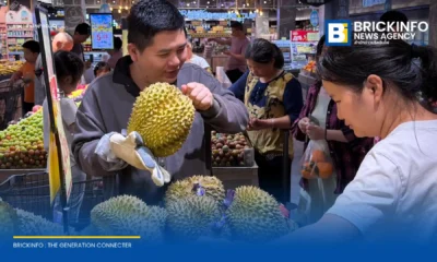 ตลาดทุเรียนในจีนโตกระโดด ด่านโหย่วอี้กวนเผยยอดนำเข้าพุ่ง 3.5 เท่าในช่วงต้นปี 2026 พบพฤติกรรมผู้บริโภคเปลี่ยน เน้นคัดคุณภาพมากกว่าราคา ดันไทย-เวียดนามยกระดับมาตรฐานส่งออก