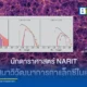 สถาบันวิจัยดาราศาสตร์แห่งชาติ (NARIT) เปิดเผยผลการศึกษา 1.1 ล้านกาแล็กซี พบหลักฐานสำคัญเกี่ยวกับวิวัฒนาการกาแล็กซีที่ชี้ว่าแบบจำลองการเกิดดาวฤกษ์ในอดีตต้องได้รับการปรับปรุงใหม่