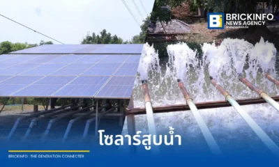 กองทุนอนุรักษ์พลังงาน ติดตามผลงานระบบสูบน้ำพลังงานแสงอาทิตย์ Solar Pumping System จังหวัดอ่างทอง ช่วยเกษตรกรพึ่งพาตนเอง ลดต้นทุนพลังงานฟอสซิลได้กว่า 1 แสนบาทต่อปี