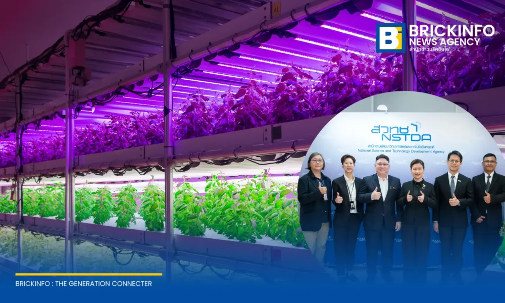 บโอเทค สวทช. เปิดตัวโรงเรือนอัจฉริยะ Plant Factory ปลดล็อกนวัตกรรมปลูกสั่งได้ สารสำคัญสูง ควบคุมผลผลิตแม่นยำด้วยระบบปิด ตอบโจทย์อุตสาหกรรมยาสมุนไพรและเวชสำอางระดับสากล